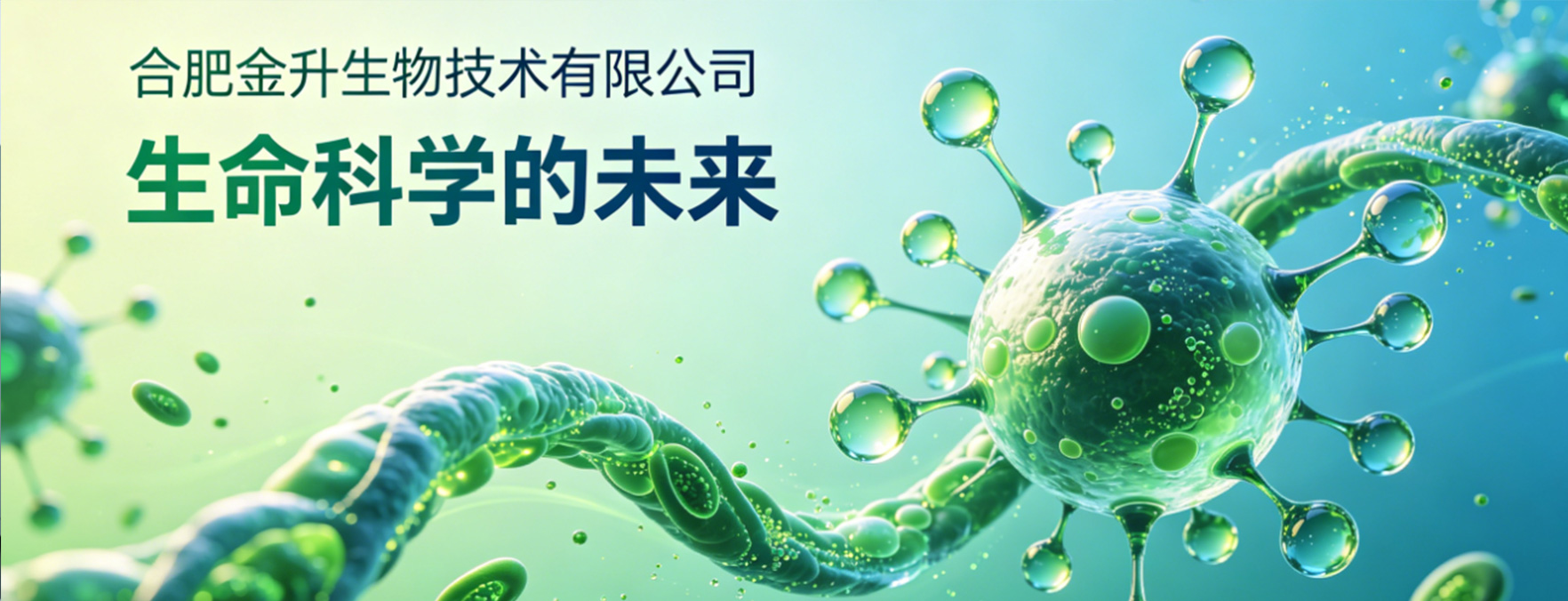 通栏图片